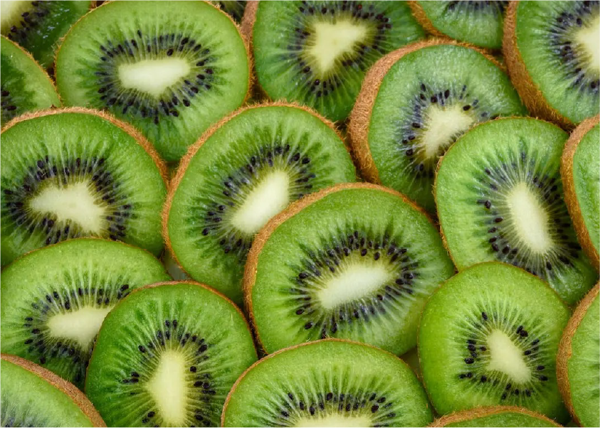 Fresh dates on palm tree